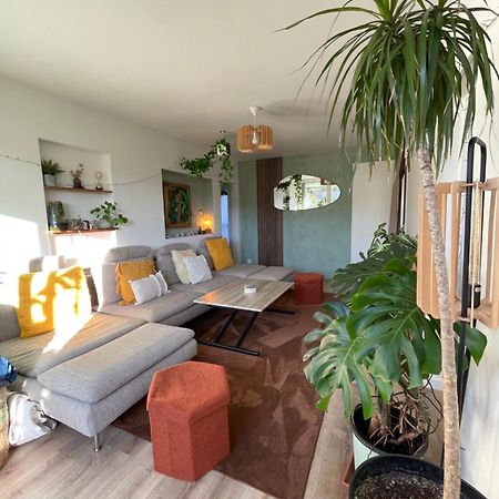 Appartement T3 - Foret & Plage アングレット エクステリア 写真