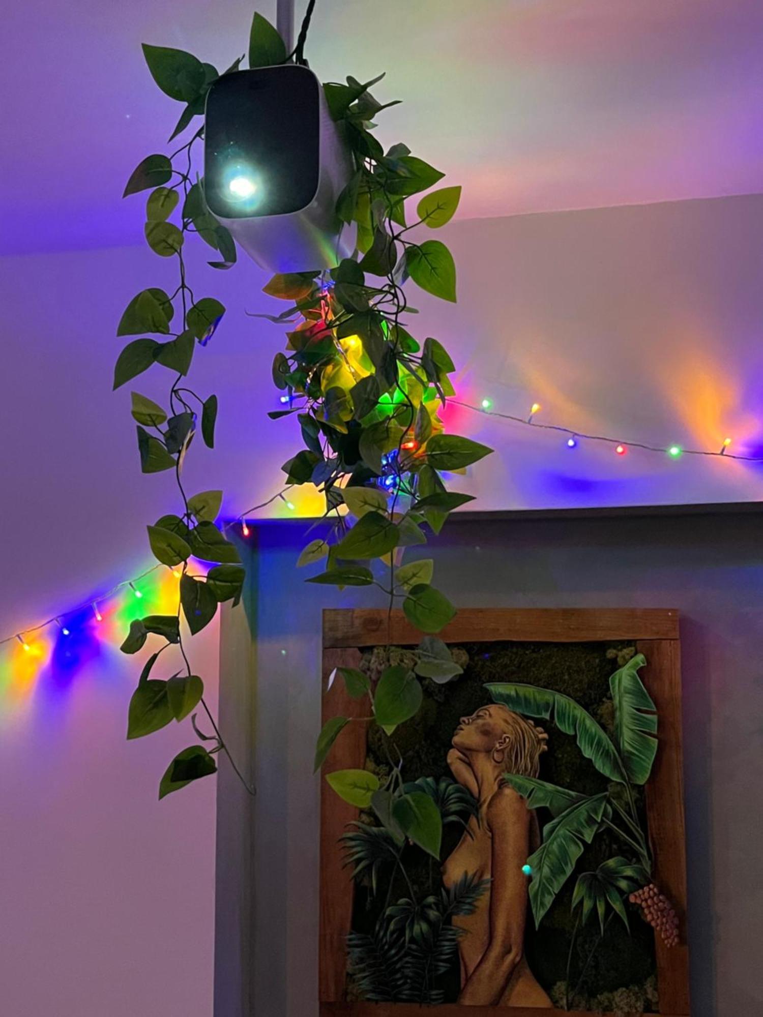 Appartement T3 - Foret & Plage アングレット エクステリア 写真
