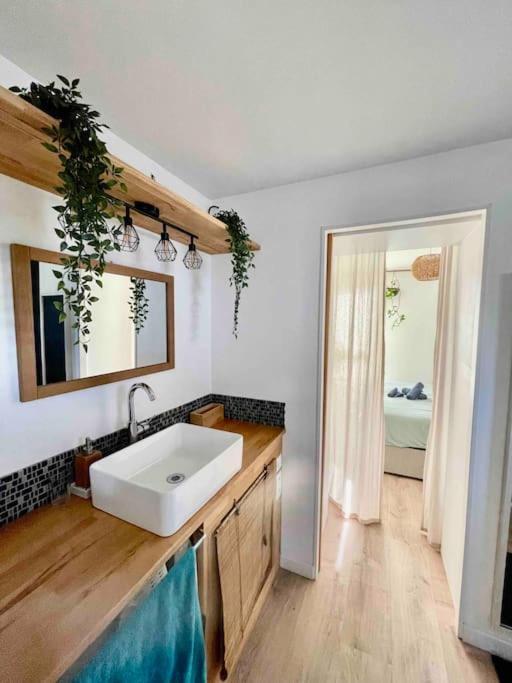 Appartement T3 - Foret & Plage アングレット エクステリア 写真